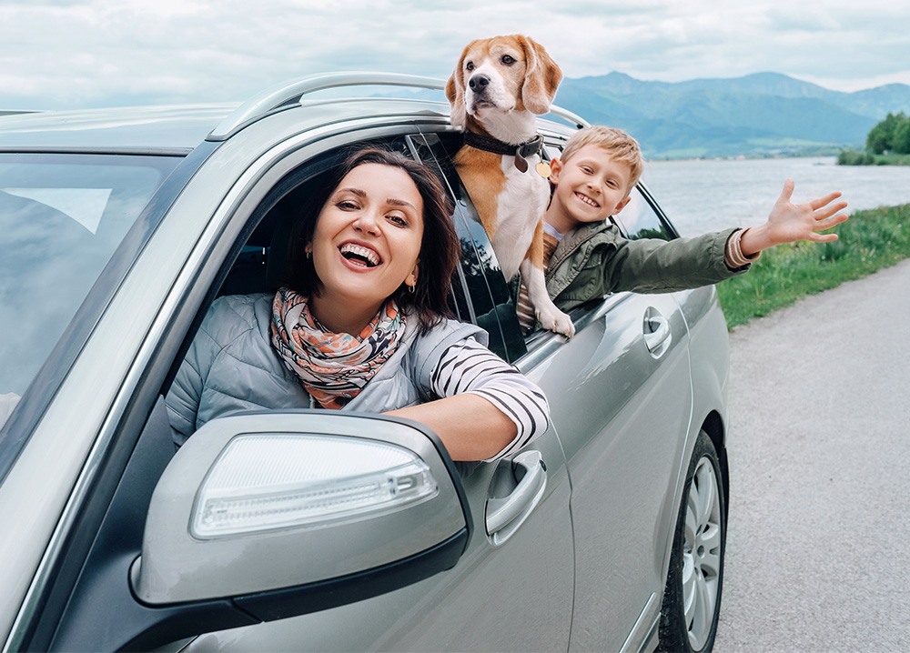 Mother Driving in Car with Son and Dog