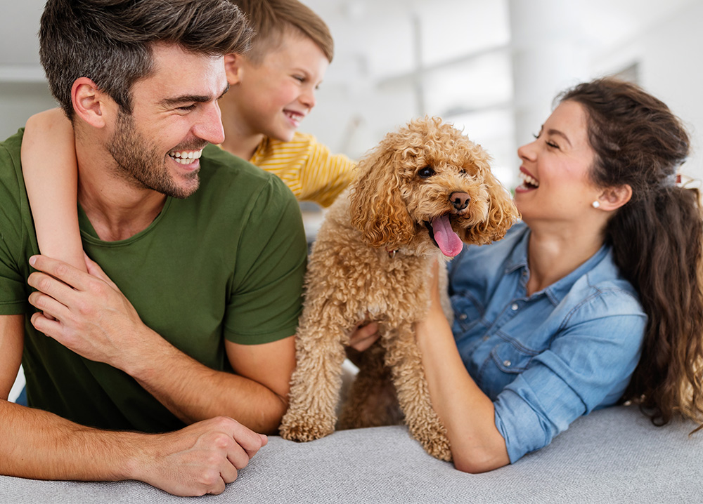 Young Family Playing with Dog